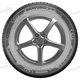 205/55 R16 91W Bravuris 5 HM Bravuris 5 HM Barum 205/55 R16 91W Bravuris 5 HM