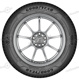 185/65 R15 92T Vector 4Seasons GEN-3 XL M+S Vector 4Seasons GEN-3 XL M+S Goodyear 185/65 R15 92T Vector 4Seasons GEN-3 XL M+S