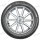 205/55 R16 91H W 210 Snowcontrol 3 Ecoimpact M+S W 210 Snowcontrol 3 Ecoimpact M+S Pirelli 205/55 R16 91H W 210 Snowcontrol 3 Ecoimpact M+S