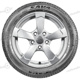 175/65 R14 86T Perfecta XL Perfecta XL Sava 175/65 R14 86T Perfecta XL
